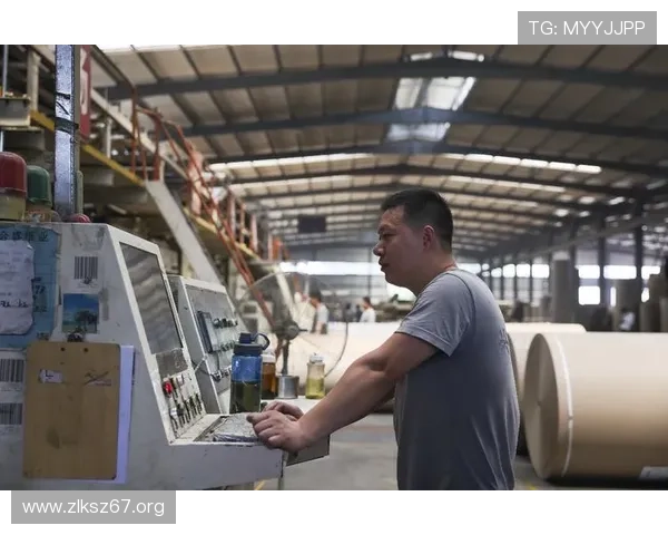 玩博纸业公司简介:行业领先的纸制品制造商与发展历程 玩博纸业公司简介:行业领先的纸制品制造商与发展历程